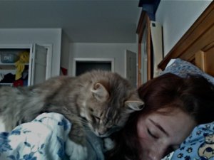 Alison's sleep habits: take a cat to bed, sleep better.